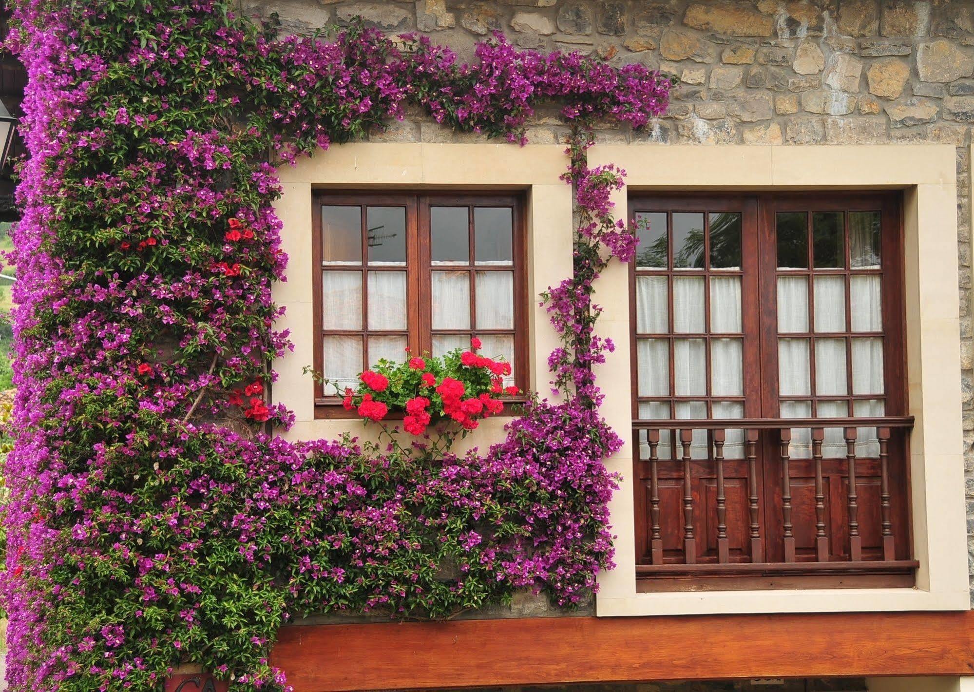 Casa Rural Llugaron I Pension Miravalles Buitenkant foto